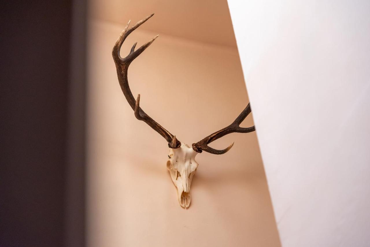 Hotel Le Cor De Chasse เซนต์-ฮิวเบิร์ต ภายนอก รูปภาพ